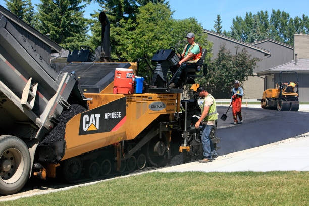 Best Professional Driveway Pavers  in Pinckneyvle, IL